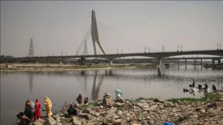 पालक में 97 गुना निकेल, सरसों में क्रोमियम